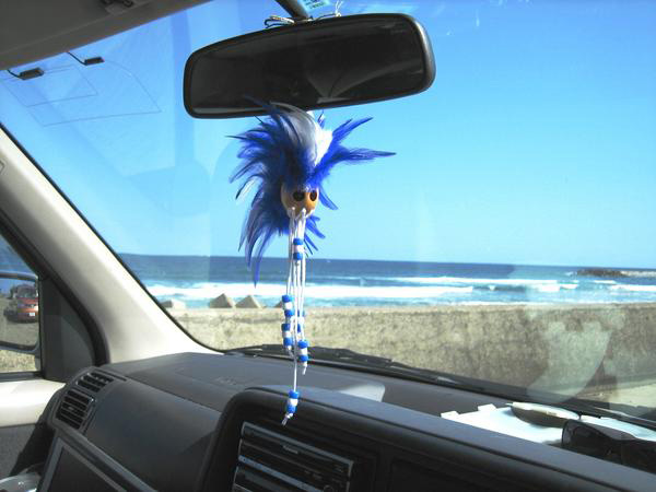 ハワイのお守りイカイカ 車のアクセサリーに ブルー なみのりこぞう 車内積載キャリア Gopro Cam 正規販売店