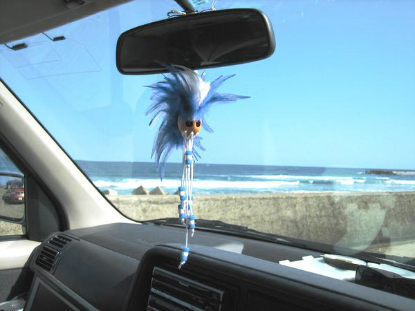 ハワイのお守りイカイカ 車のアクセサリーに スカイ なみのりこぞう 車内積載キャリア Gopro Cam 正規販売店